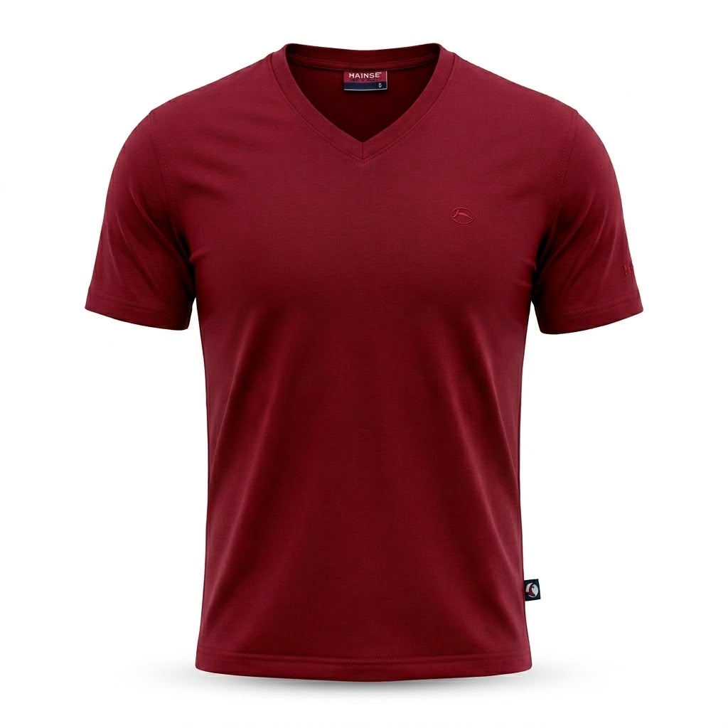 Mens Basic T-Shirt V-Neck
