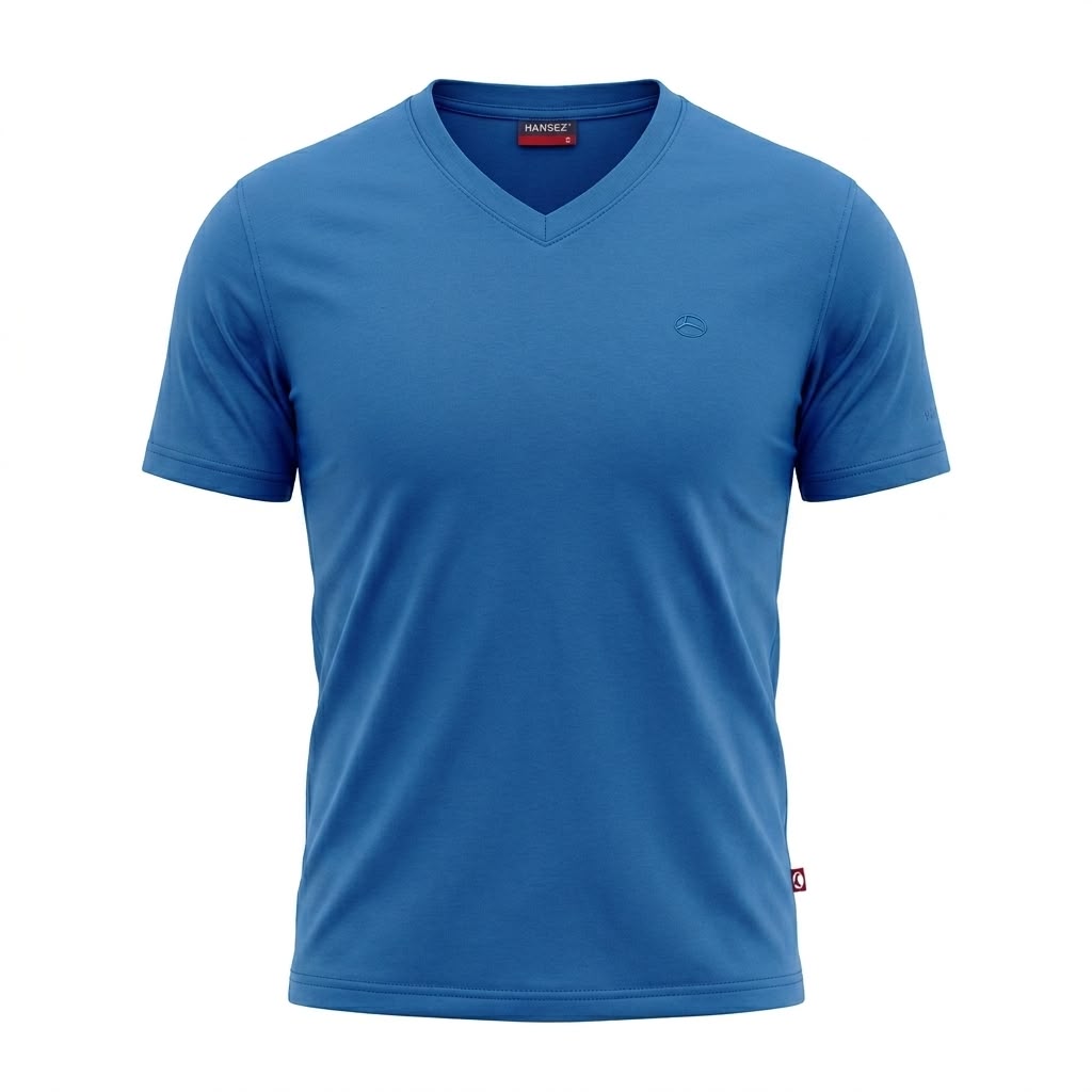 Mens Basic T-Shirt V-Neck