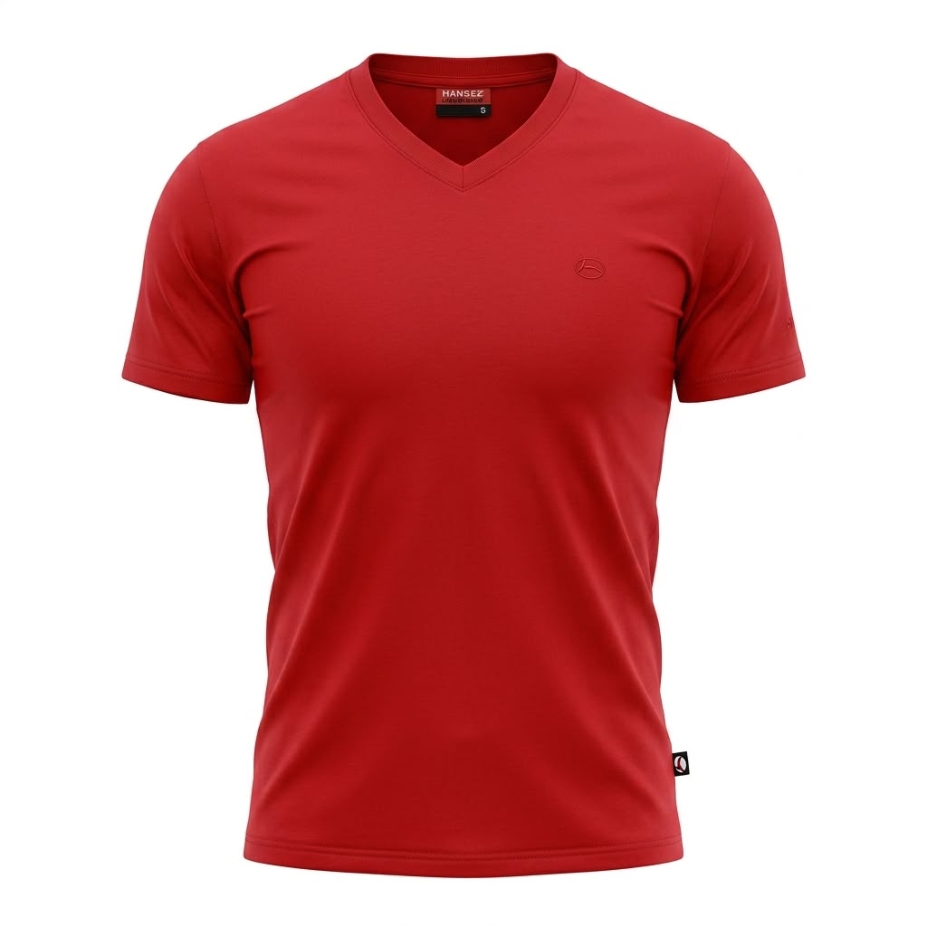 Mens Basic T-Shirt V-Neck